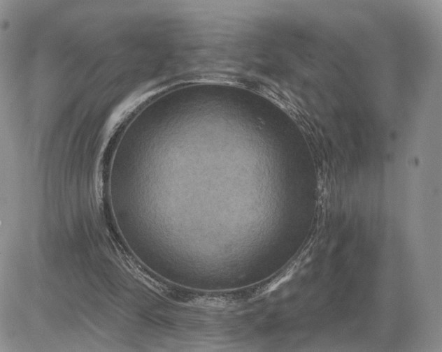 X0000083650294200702261123