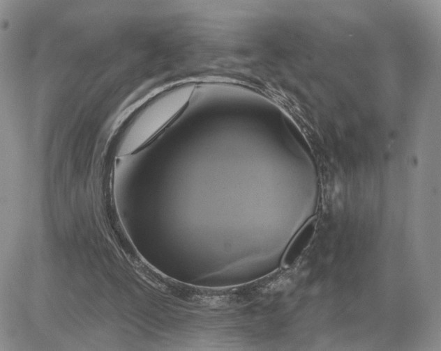 X0000083650295200702261123