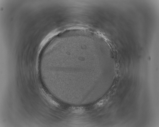 X0000083650296200702261123