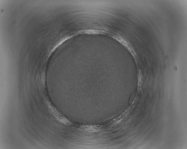 X0000083650297200702261123