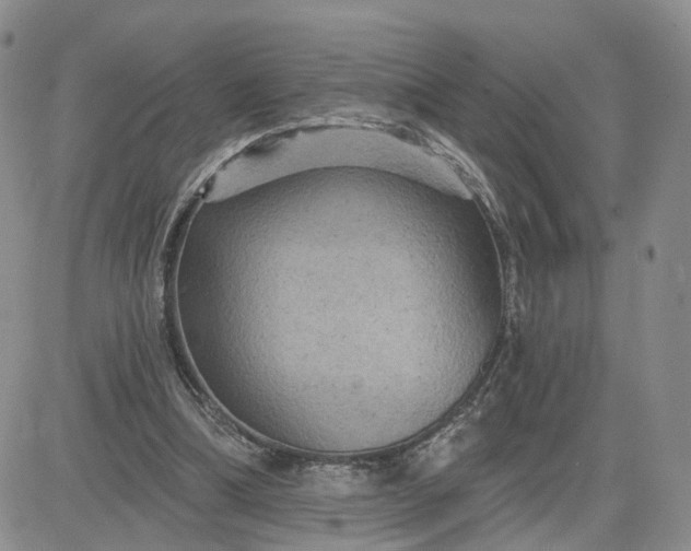 X0000083650298200702261123