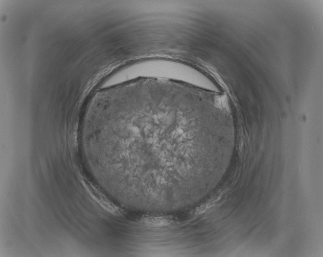 X0000083650299200702261123