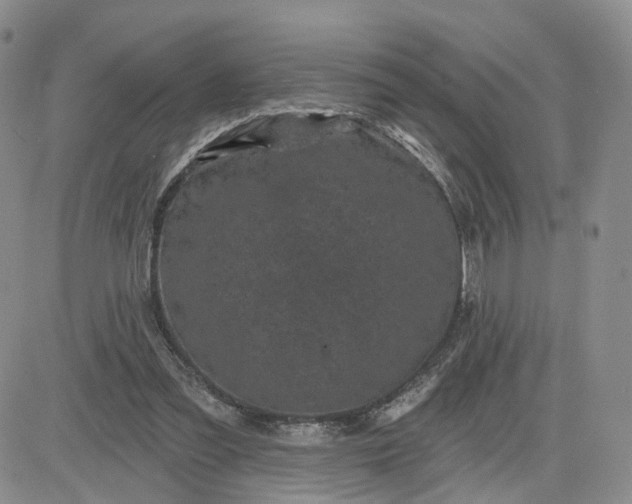 X0000083650301200702261123