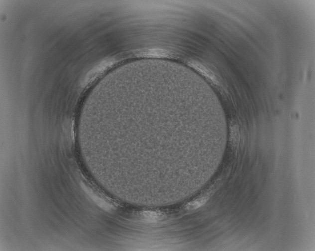 X0000083650302200702261123