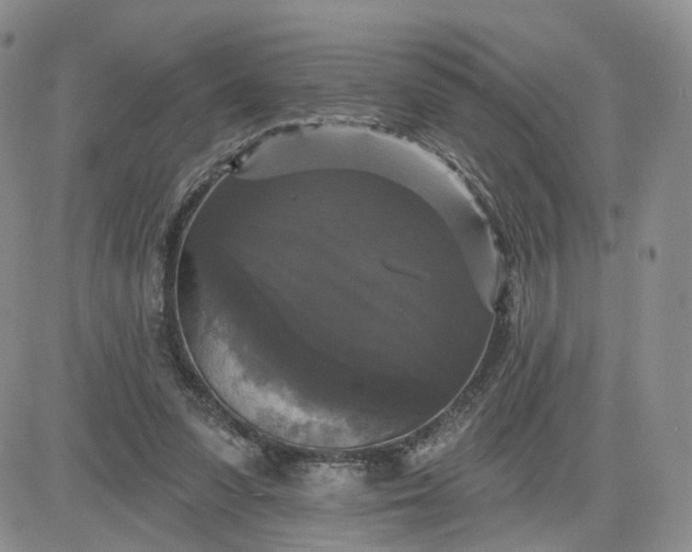 X0000083650303200702261123