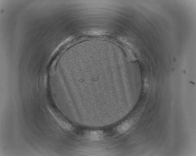 X0000083650304200702261123