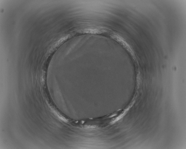 X0000083650305200702261123