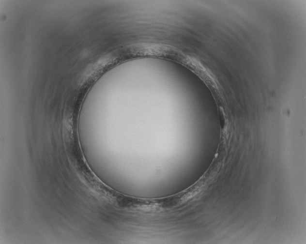 X0000083650306200702261123