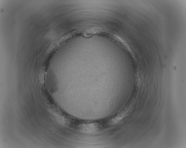 X0000083650307200702261123