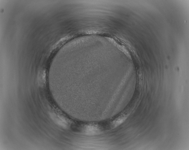 X0000083650308200702261123