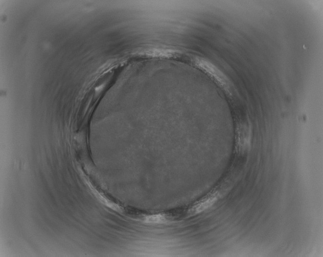 X0000083650309200702261123