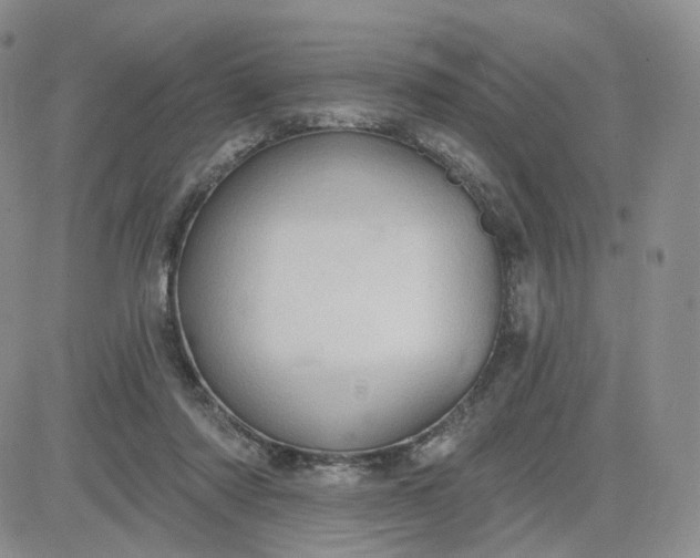 X0000083650310200702261123