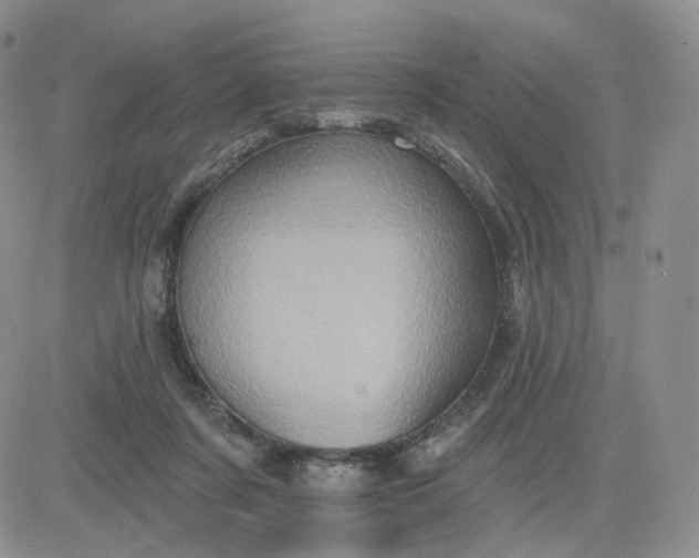 X0000083650311200702261123