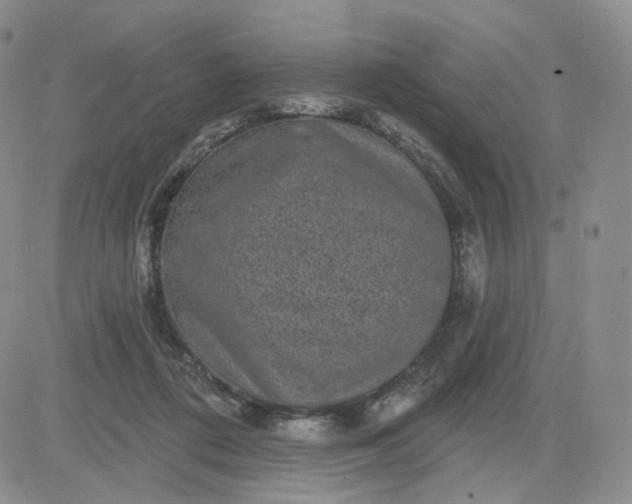 X0000083650312200702261123