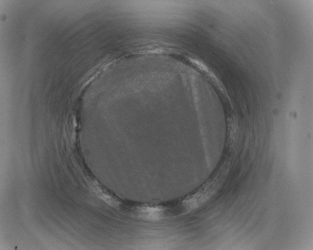 X0000083650313200702261123