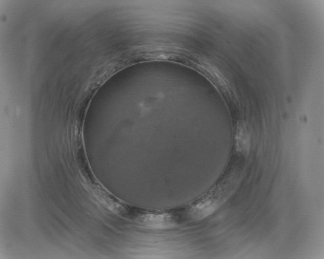 X0000083650314200702261123