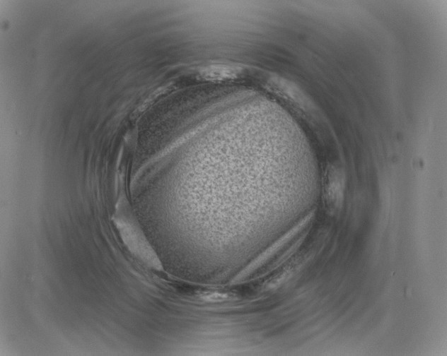 X0000083650315200702261123