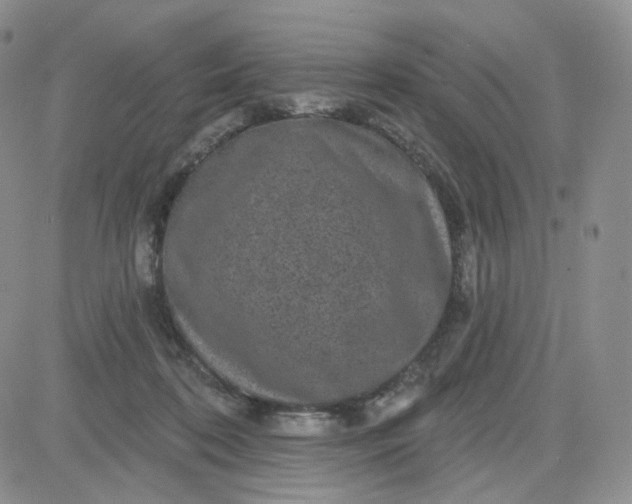 X0000083650316200702261123