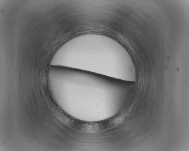 X0000083650317200702261123