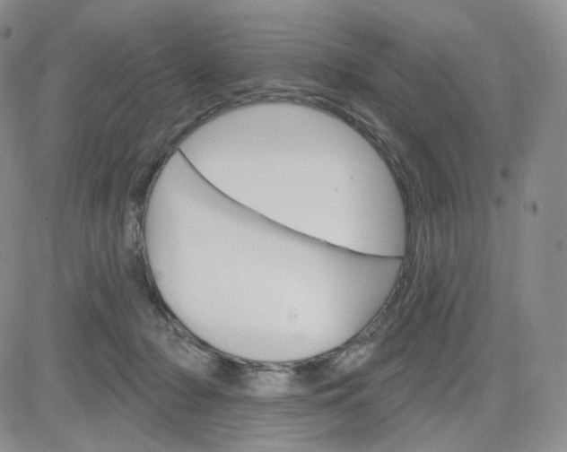 X0000083650318200702261123