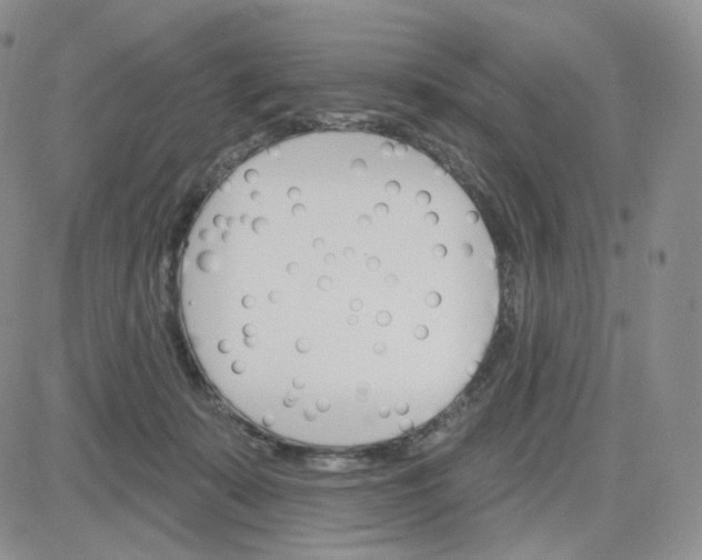 X0000083650319200702261123