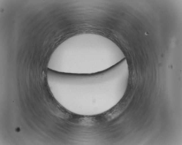 X0000083650320200702261123