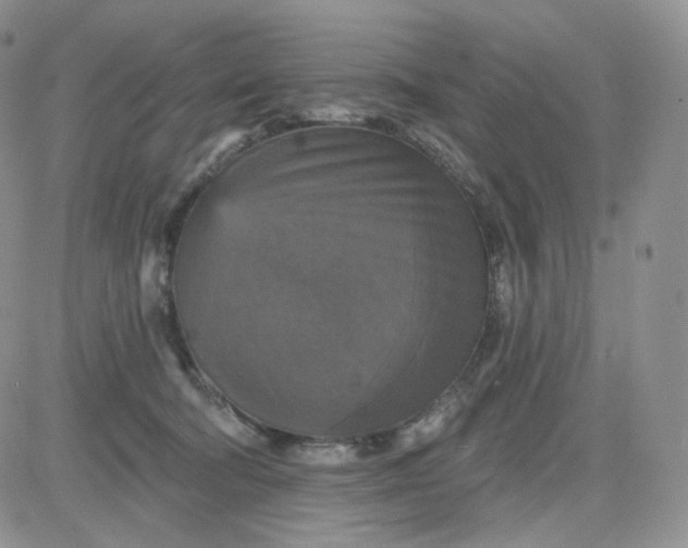 X0000083650322200702261123