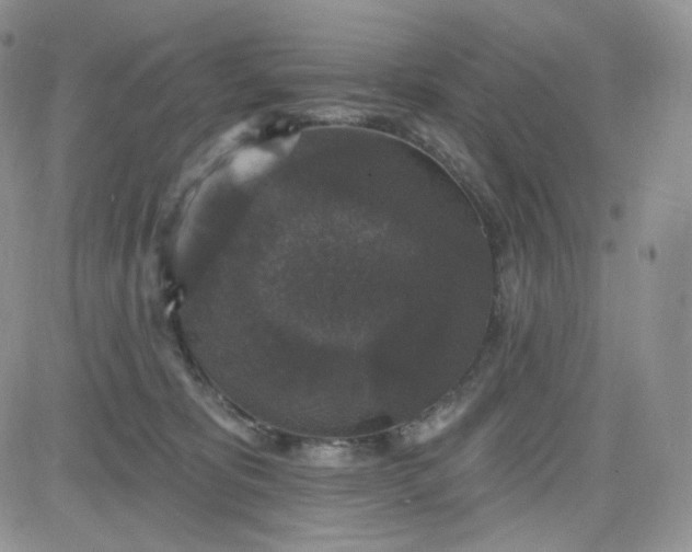 X0000083650325200702261123