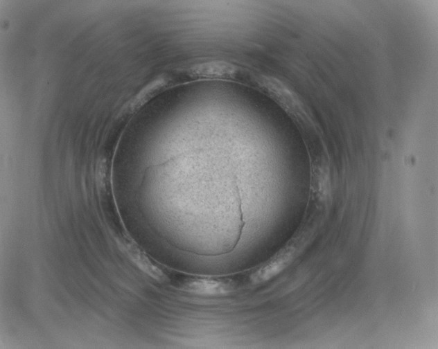 X0000083650326200702261123