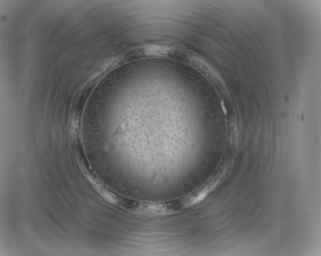 X0000083650329200702261122