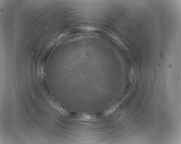 X0000083650330200702261122