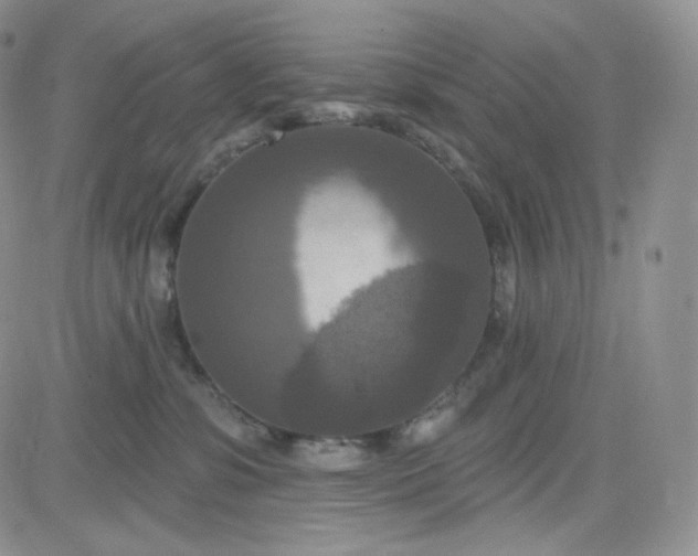 X0000083650331200702261122