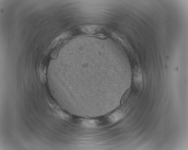 X0000083650332200702261122