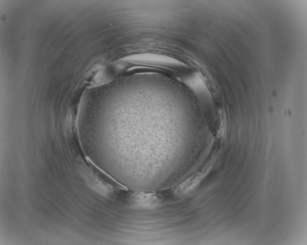 X0000083650333200702261122