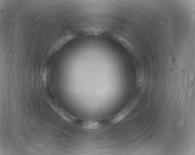 X0000083650334200702261122