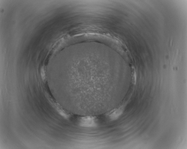 X0000083650335200702261122