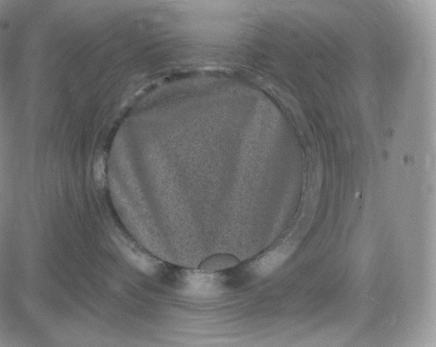 X0000083650336200702261122