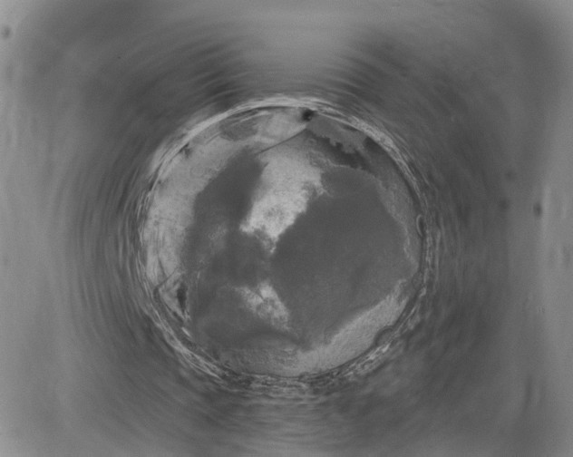 X0000083650337200702261122