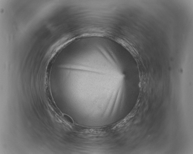 X0000083650338200702261122