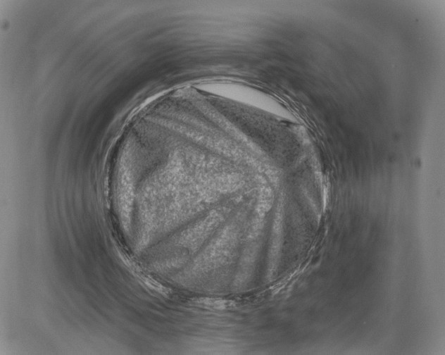 X0000083650339200702261122