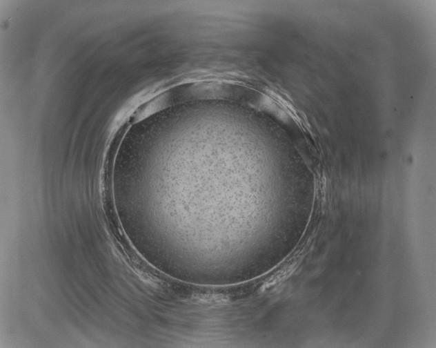 X0000083650340200702261122