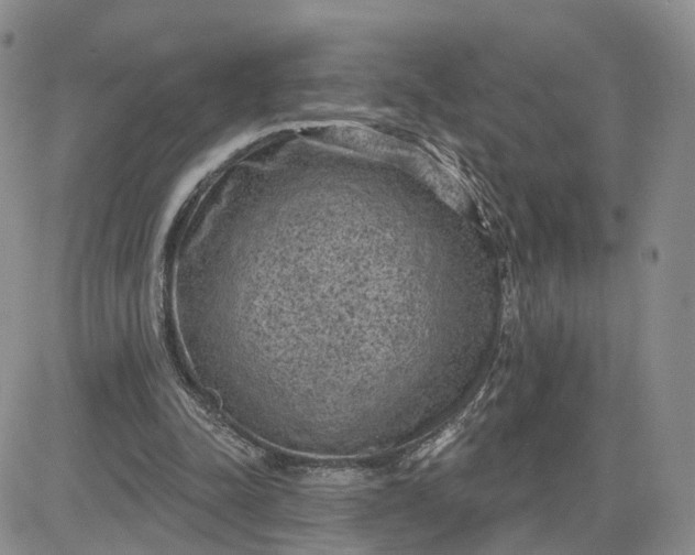 X0000083650342200702261122