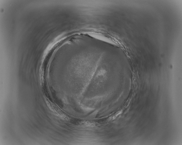 X0000083650343200702261122