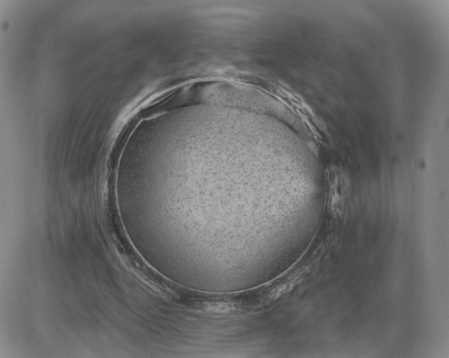 X0000083650344200702261122