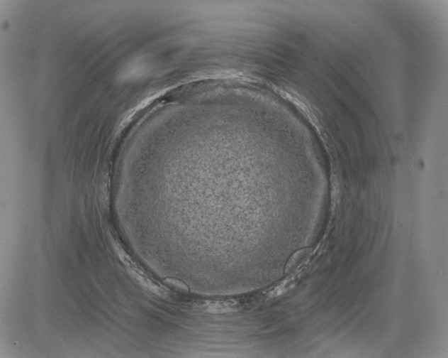 X0000083650345200702261122