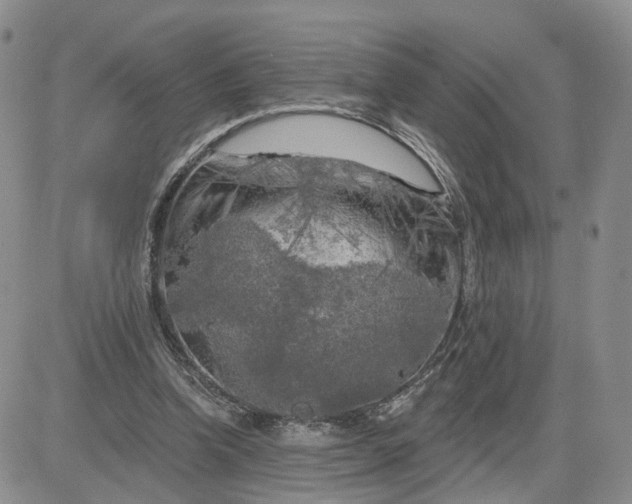 X0000083650346200702261122