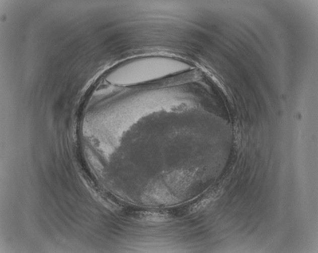 X0000083650347200702261122