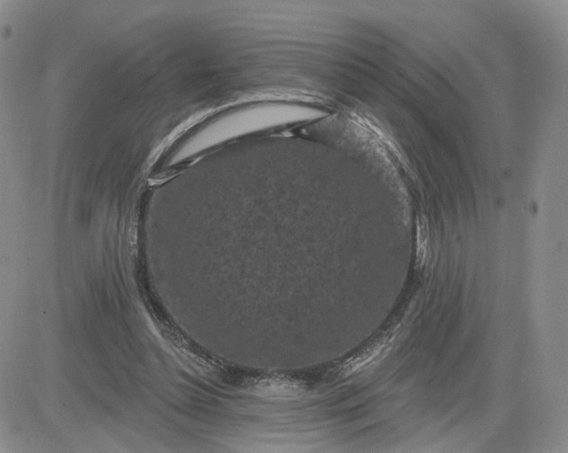 X0000083650348200702261122