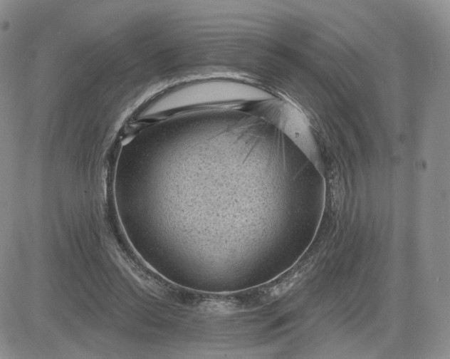 X0000083650350200702261122