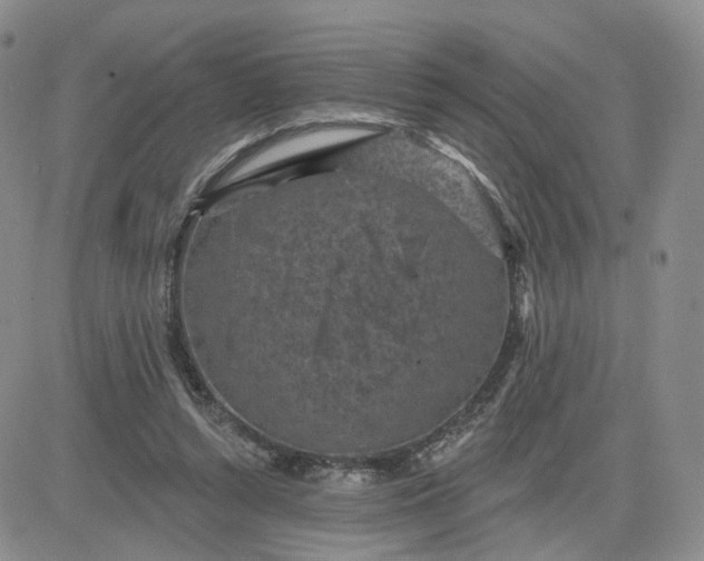 X0000083650352200702261122